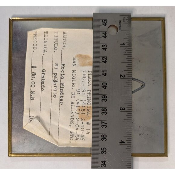 Rocio Pindter Mi Pajarito Limited Edition Print Framed 'My little bird' - Picture 8 of 14